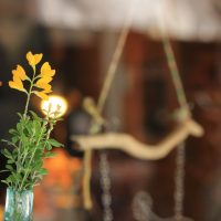 サブスクリプションで毎日花のある暮らしを！話題の花の定期便とは