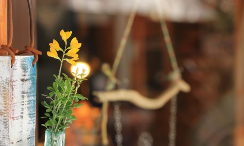 サブスクリプションで毎日花のある暮らしを！話題の花の定期便とは
